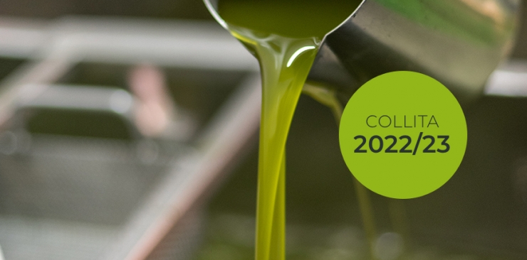 En marcha la campaña de aceite 2022 del Molí del Pau